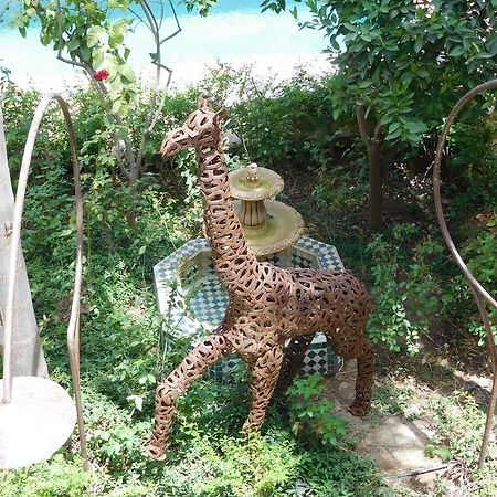 Palais Oumensour Bed & Breakfast Taroudant Ngoại thất bức ảnh